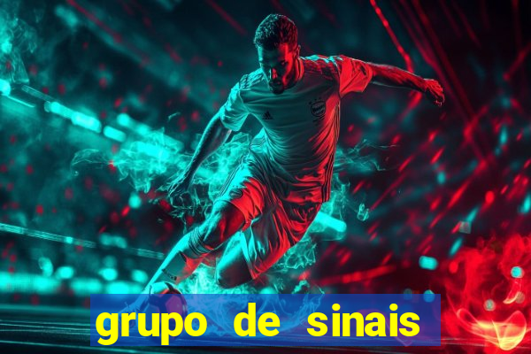 grupo de sinais trader telegram